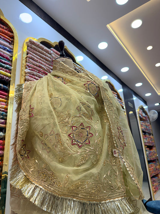 Golden tissue poshak